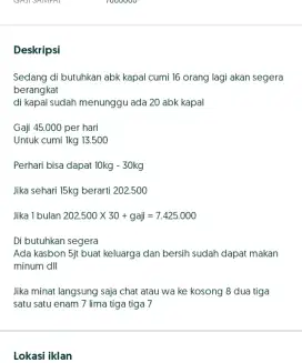 Di butuhkan abk kapal cumi