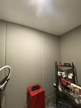 Cat interior exterior