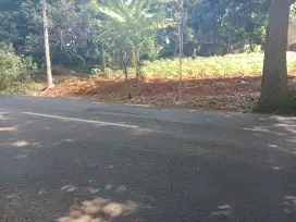 Tanah pinggir jalanraya patemon siap bangun shm ready 5menit unnes