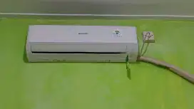 Ac sharpb1/2 pk