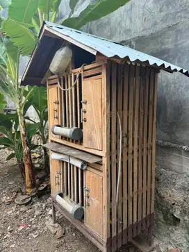Kandang ayam hias 4 pintu mewah rakitan sendiri