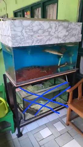 Aquarium 100x50 fullset