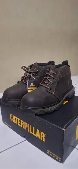 Caterpillar Exposition