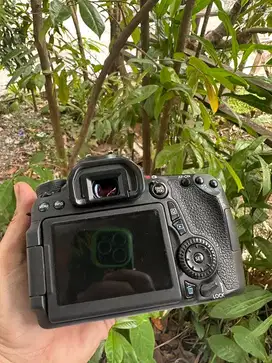 Canon 70d body only wifi