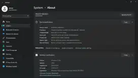 Lenovo thinkpad X390 B