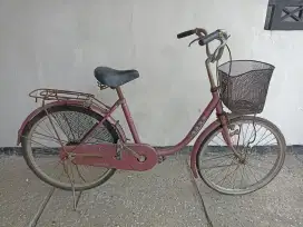 Sepeda bisa untuk santai atau belanja