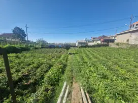 Dijual Tanah Area Coban Talun Bumiaji Batu