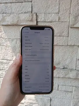 jual iphone 12 promax 128 ibox nego sampe jadi
