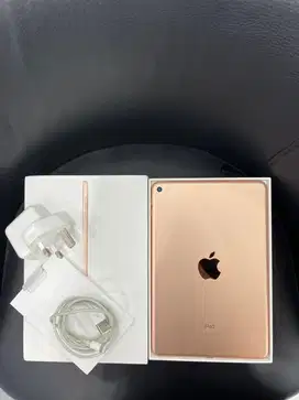 Ipad MINI 5 64gb Inter