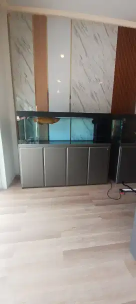 AQUARIUM import premium optic clear