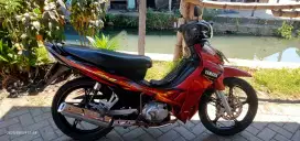 Jupiter z 2008 burung hantu