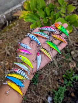 Umpan Minnow casting Warna Top Amis Gacor