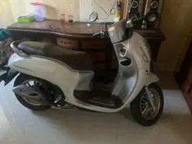scoopy keyless 2021