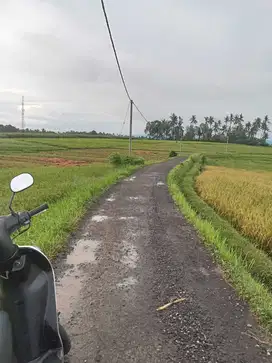Jual tanah produktip.50,5 are hrga 45 jt/ are ngo lokasi seltim