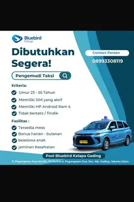 lowongan pengemudi taxi BlueBird