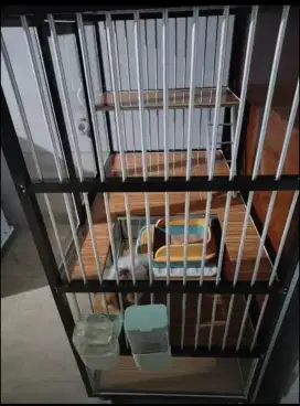 Kandang kucing tingkat 2 kondisi istimewa