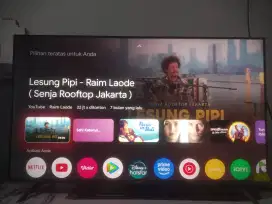 Xiaomi TV A Pro 43 inch