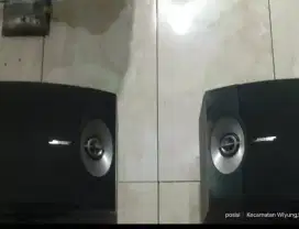 Speaker bose V301