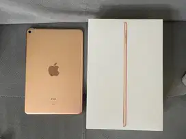 Ipad mini 5 wifi cell 64 gb