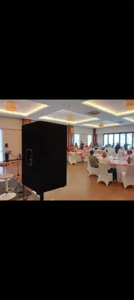 JBL MPro 215 250watt Speaker