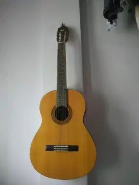 Yamaha akustik c315