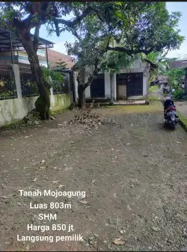 Mojoagung rumah dengan tanah luas