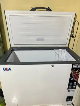 Freezer GEA Chest AB 318 R / Freezer Box 300 liter AB318R