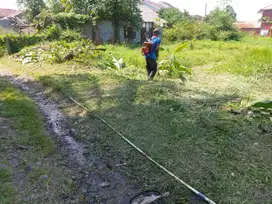 Tanah Area Ciomas, Dijual Dekat Stasiun Kota Bogor