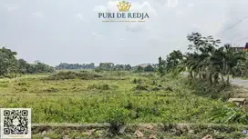 kavlingan Dekat Al Azhar Internasional Jogja