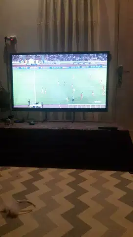 Tv Samsung 51 inc