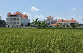 Housekeeping, Kitchen dan Gardener Staf