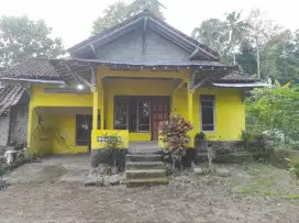 Disewakan Rumah Di Desa Cangkringan Nyaman, Halaman Luas , Mobil Masuk