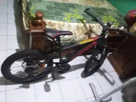 Sepeda Gunung Aviator 2689 XT