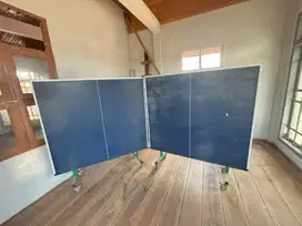 Tenis Meja ( Power Spin)