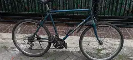 Sepeda federal silver fox / commuter bike