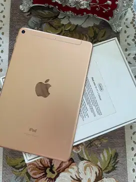 Ipad mini 5 wifi cell 64 gb fullset
