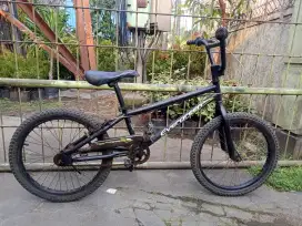Bmx Evergreen UK 20 normal bisa goes