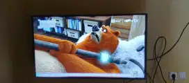 Tv led samsung 50inch