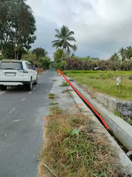 Di Jual Tanah Murah Mangku Jalan Aspal Lokasi Strategis Utara SCH