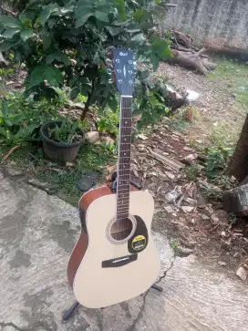 Gitar akustik elektrik cort