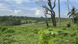 Di jual tanah view sawah cocok untuk hunian atau villa pribadi