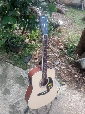 Gitar akustik elektrik cort