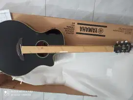 Gitar listrik apx 600