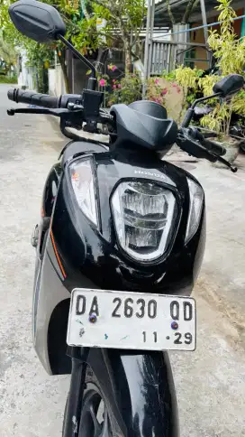 Honda Genio tahun 2024