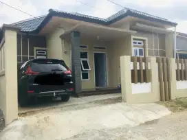 Rumah di sewakan