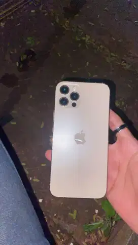 iPhone 12 pro 256 terdaftar bea cukai