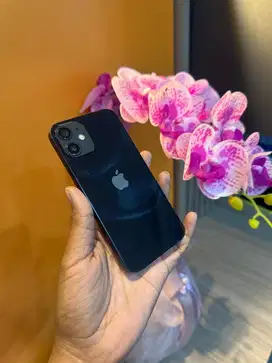 iphone 12 mini 128 beacukai