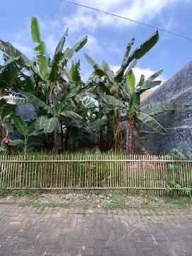Dijual Tanah Kavling Luas dan Murah di Tamanharjo, Singosari Malang