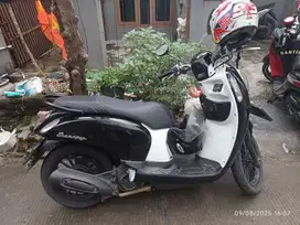 Honda scoopy 2016