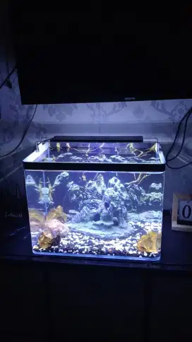 AQUARIUM KACA TEBAL BERAT